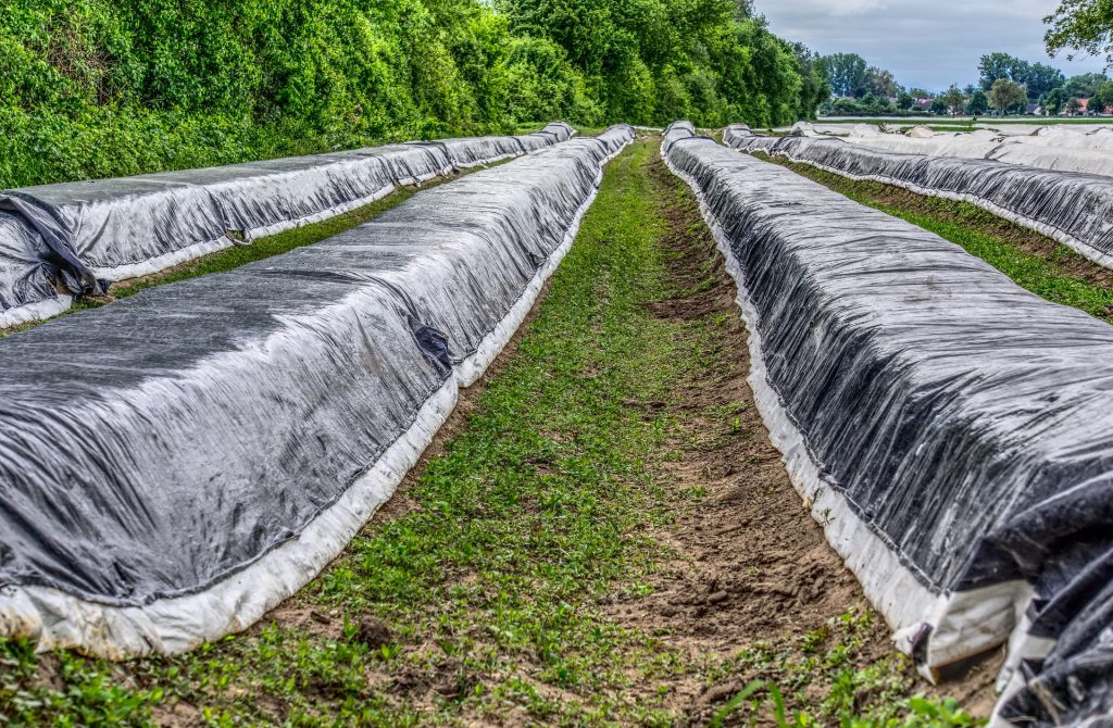 bâche-agricole-recolte-ipalle-2022